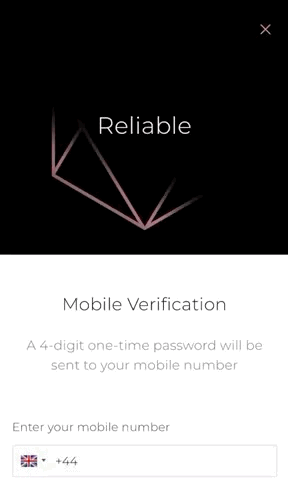 mobile-image-of-section